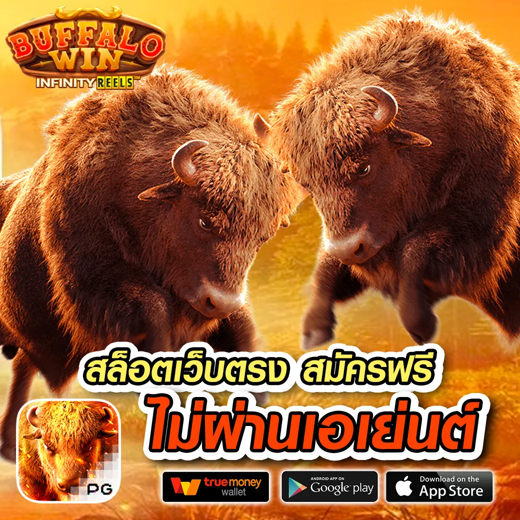 mahasanook ทางเข้า